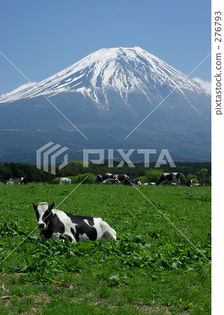 富士山(垂直構圖) 富士山(垂直構圖) 276793