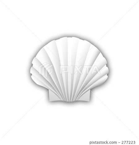 白色貝殼 寺若開 白貝 277223
