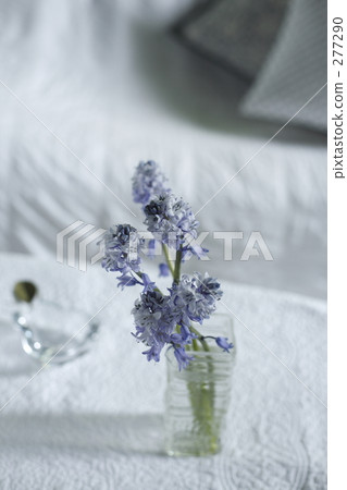 purple flower Ⅱ 277290