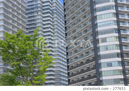 Apartment and tree 277651