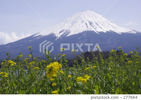 雪山 遠景 視角 277664