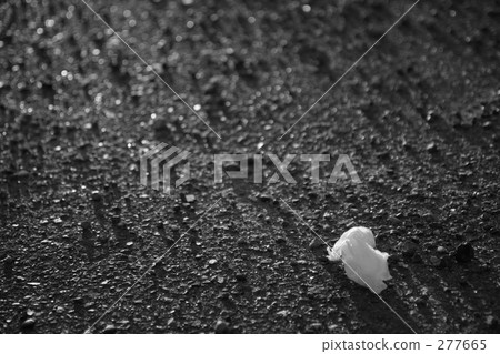 Roads and tissues Roads and tissues 277665