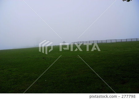 晨霧牧場 277798