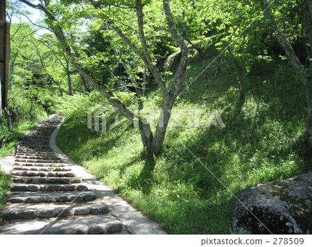 yagyu no sato, forest, yagyu 278509