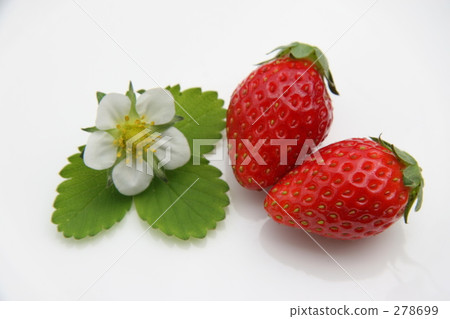 美味 美味的 草莓 278699