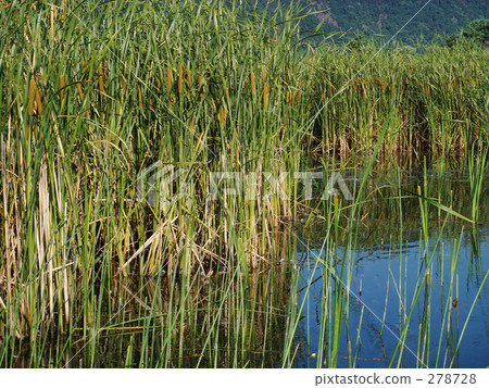 Early group of eagles Early group of eagles 278728