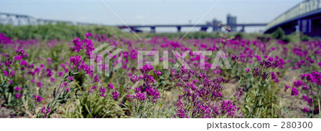 度假 假日 假期 280300