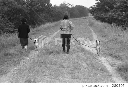 多摩川河/家鄉昭和47年 280395