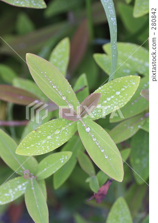 Water droplets Water droplets 280842