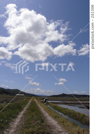 車轍 車輪印 夏季素材 281306