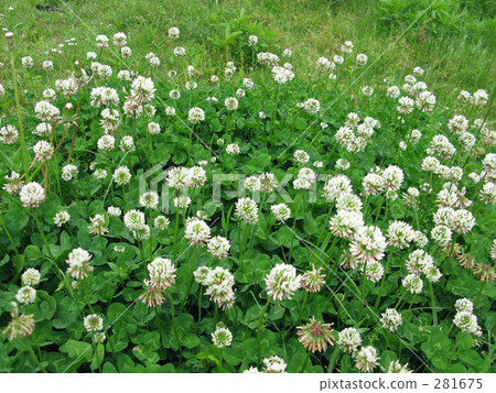 I decided to take a nap here. I decided to take a nap here. 281675