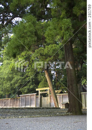 沉默 沉默 281789