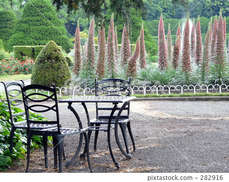 桌子和椅子在花園裡 282916