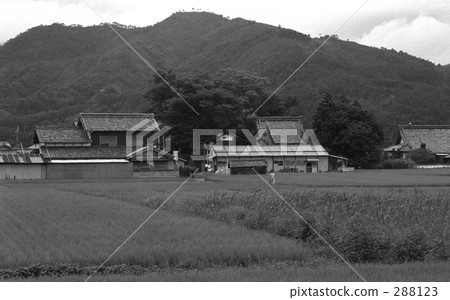 Showa landscape · Shiga prefecture in Suzuka City Showa 47 288123