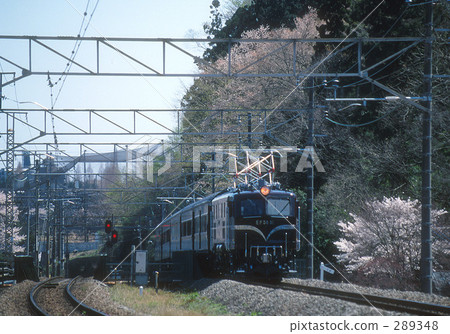 在櫻桃樹里面 289348