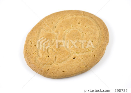 Squirrel pattern cookie Squirrel pattern cookie 290725