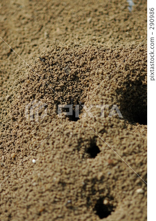 Ali's nest (4) 290986