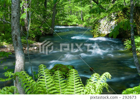 Oirase stream Oirase stream 292673