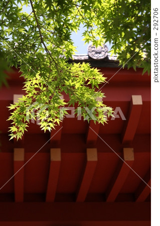 順和明天 順和明天 292706