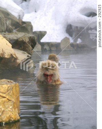 Sleepiness Sleepiness 292925