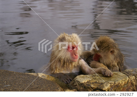 I heard that it is ... 292927