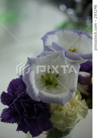 Small flowers Small flowers 293246