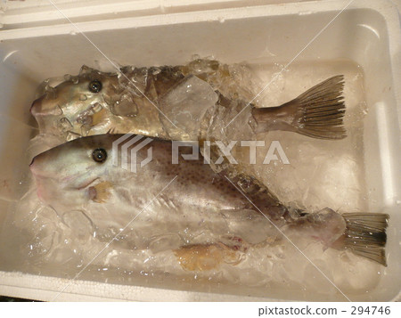 Usbahagi在漁港 294746