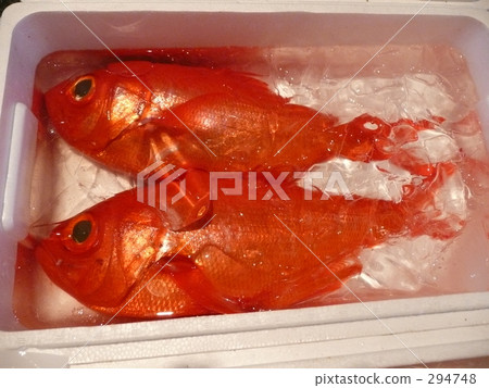 Kimmedai在漁港 Kimmedai在漁港 294748