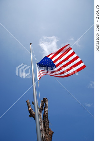 飄揚 國旗 旗幟 295675
