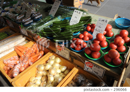 函館市場 函館市場 296066