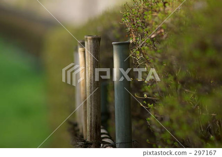 Hakuga國歌 Hakuga國歌 297167