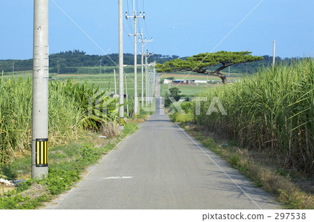 Sugar Road Sugar Road 297538