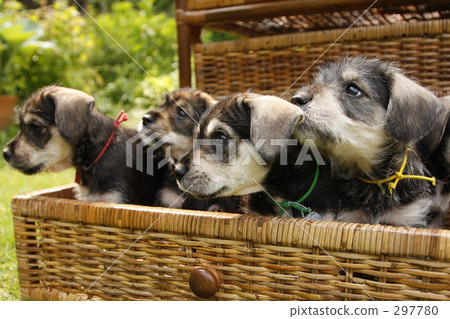 你為自己做了什麼〜？ 297780