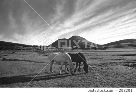 昭和景觀·昭和47年的阿蘇 298291