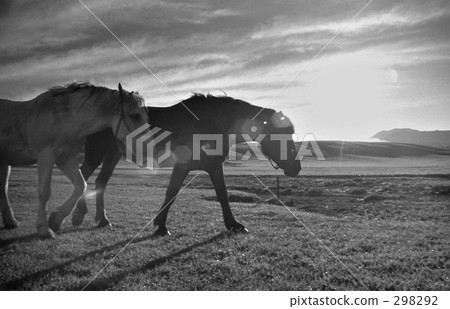 昭和景觀·昭和47年的阿蘇 298292