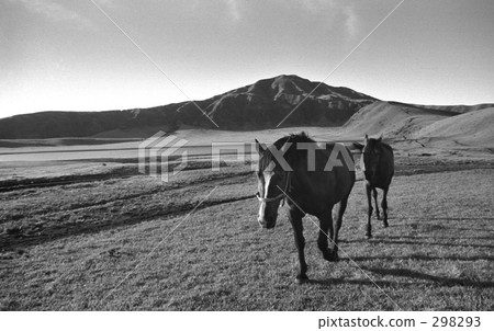 昭和景觀·昭和47年的阿蘇 298293