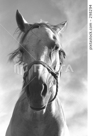 昭和景觀·昭和47年的阿蘇 298294