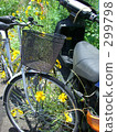 Abandoned bicycles and flowers 299798