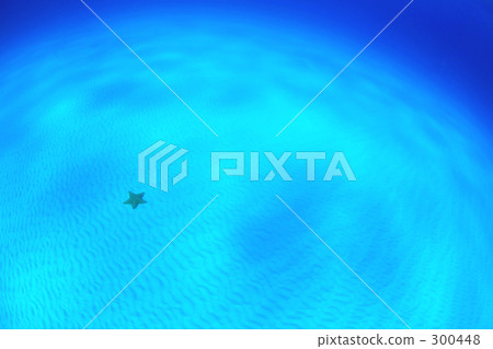 砂紙和海星 300448