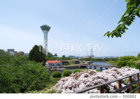 活力 快樂 明亮 300882