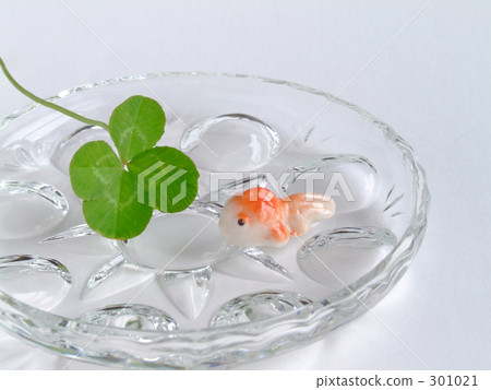 Ginkgo and clover 301021