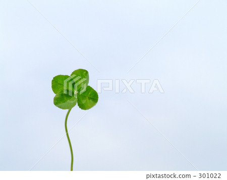 Clover in the sky 301022