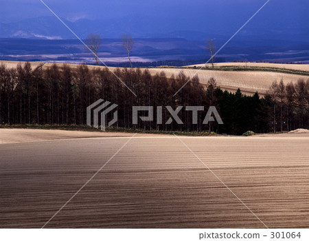 Light of arable land Light of arable land 301064