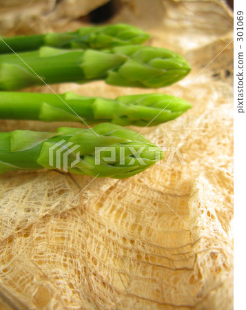 軟蘆筍 301069