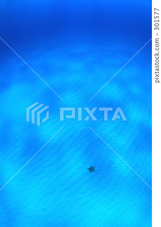 Sandpaper and starfish Sandpaper and starfish 301577