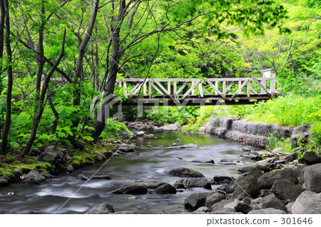 Landscape with a bridge 301646