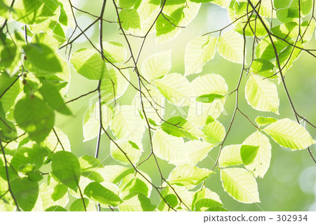 樂活的形象 302934