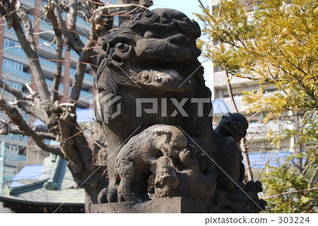 石獅 石獅子 303224