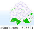  hydrangea 303341