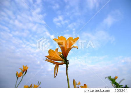 Before sunset 303864